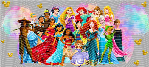 16oz Disney-D 2835